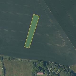 Prodej zemědělské půdy 6 865 m² Velvary Velká Bučina