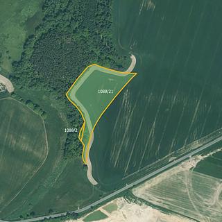 Prodej zemědělské půdy 14 739 m² Bor Skviřín