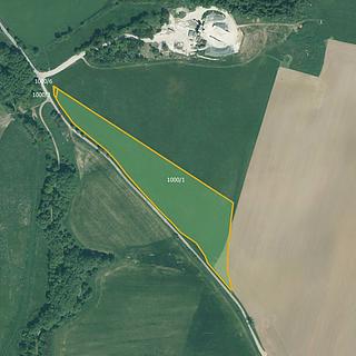 Prodej zemědělské půdy 16 199 m² Bor Skviřín