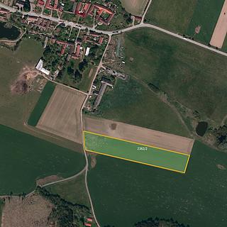 Prodej zemědělské půdy 16 499 m² Olšany