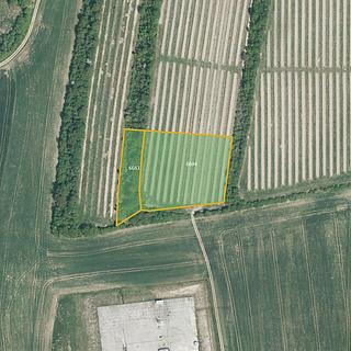 Prodej zemědělské půdy 8 639 m² Žarošice