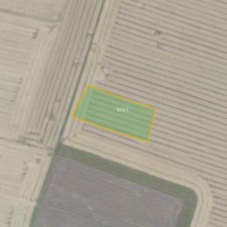Prodej zemědělské půdy 7 161 m² Odřepsy