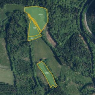Prodej louky 28 440 m² Víchová nad Jizerou Horní Sytová