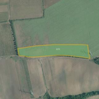 Prodej zemědělské půdy 56 286 m² Němčičky