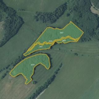 Prodej lesa 40 440 m² Budišov nad Budišovkou