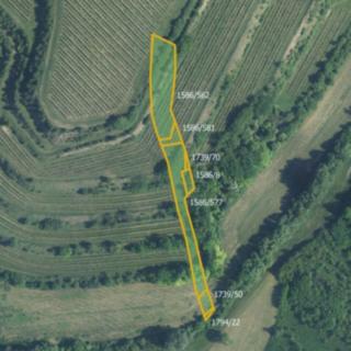 Prodej zemědělské půdy 4057 m² Uherčice