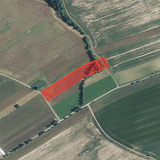 Prodej louky 13 769 m² Bílá Třemešná