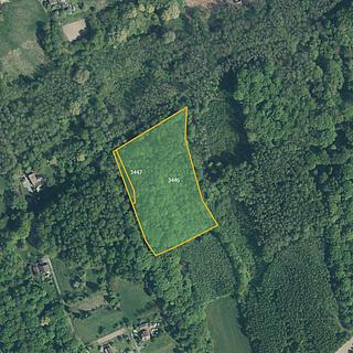 Prodej lesa 16188 m² Doubrava