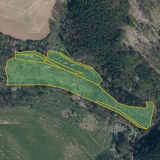 Prodej louky 16044 m² Štětí