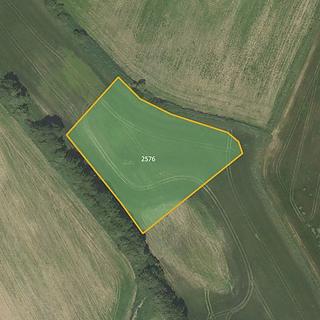 Prodej louky 8040 m² Městečko Trnávka