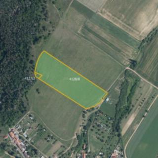 Prodej zemědělské půdy 41 180 m² Senorady
