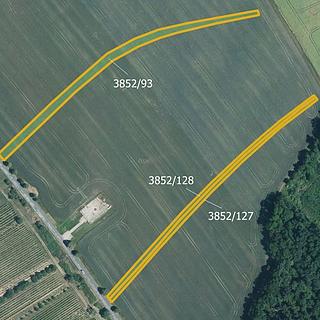 Prodej zemědělské půdy 6005 m&sup2; Starý Poddvorov