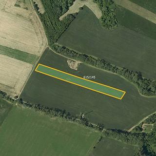 Prodej zemědělské půdy 6000 m² Světlá