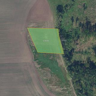 Prodej zemědělské půdy 4 151 m² Bohuslavice