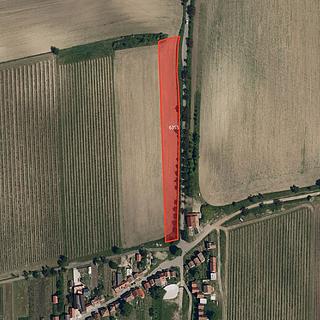 Prodej zemědělské půdy 13194 m&sup2; Milotice