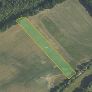 Prodej zemědělské půdy 12 257 m² Podluhy