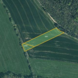 Prodej zemědělské půdy 9 681 m² Koloveč Zichov