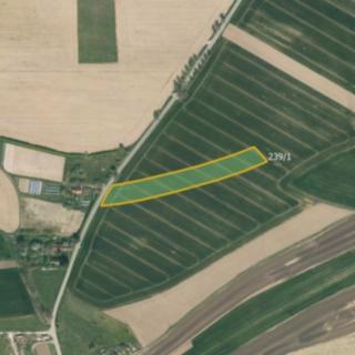 Prodej zemědělské půdy 3 836 m² Vícemil
