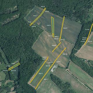 Prodej zemědělské půdy 21545 m² Silůvky
