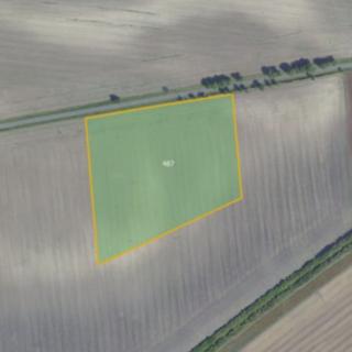 Prodej zemědělské půdy 29 924 m² Kouty