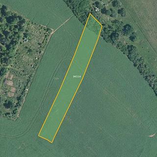 Prodej zemědělské půdy 7 073 m² Prštice