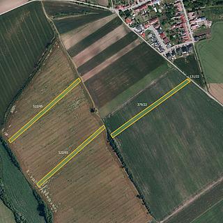 Prodej zemědělské půdy 12492 m&sup2; Nový Poddvorov