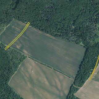 Prodej zemědělské půdy 3 655 m² Silůvky