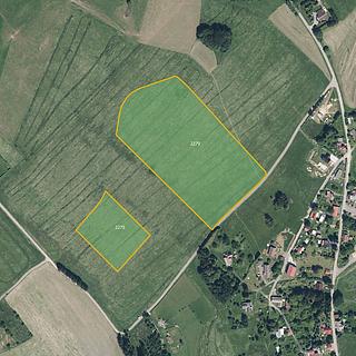 Prodej louky 12 382 m² Jílové u Držkova