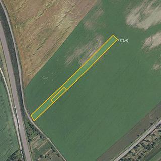 Prodej zemědělské půdy 6602 m² Kuchařovice