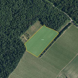 Prodej ostatního pozemku 63 228 m² Bulhary