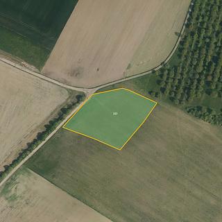 Prodej zemědělské půdy 13 026 m² Luže Radim