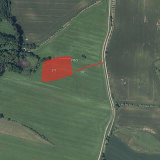 Prodej zemědělské půdy 8524 m&sup2; Sulice