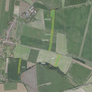 Prodej zemědělské půdy 17054 m² Městec Králové