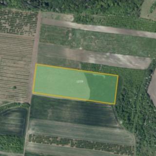 Prodej ostatního pozemku 25 655 m² Želkovice