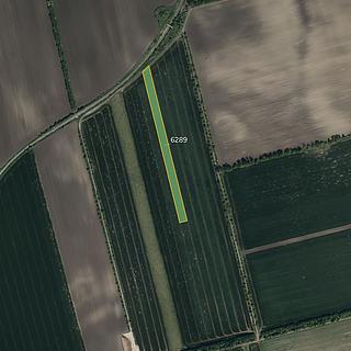 Prodej zemědělské půdy 10196 m&sup2; Lipov