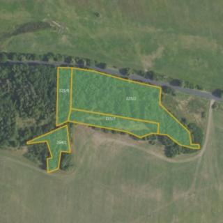 Prodej lesa 14688 m² Drahlín