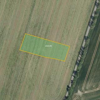 Prodej zemědělské půdy 3 412 m² Holice Podhráz