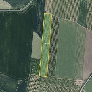 Prodej ostatních pozemků 28919 m² Želkovice