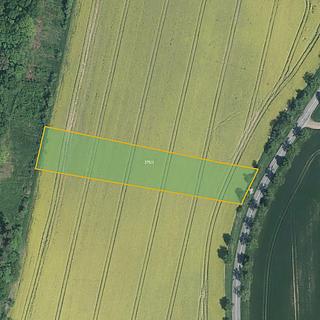 Prodej zemědělské půdy 6 312 m² Kostelany Újezdsko