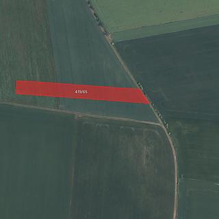 Prodej zemědělské půdy 6 208 m² Chožov