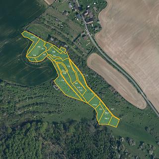 Prodej louky 24191 m² Štětí