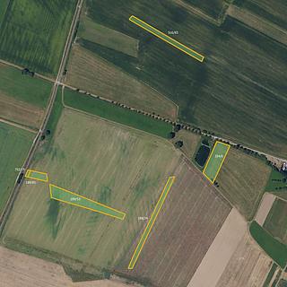 Prodej zemědělské půdy 15 964 m² Světlá