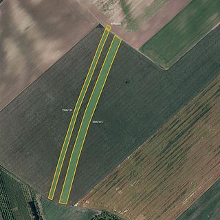 Prodej zemědělské půdy 19254 m&sup2; Čejkovice