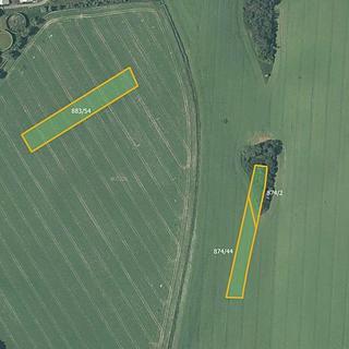 Prodej zemědělské půdy 11 074 m² Oldřišov