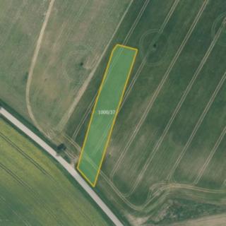 Prodej zemědělské půdy 2 469 m² Malšice