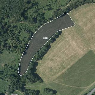 Prodej louky 11 765 m² Lipina