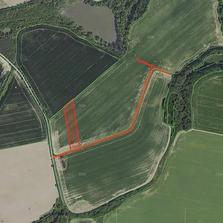 Prodej zemědělské půdy 6 183 m² Malešov Polánka