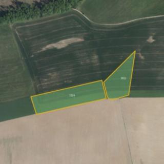 Prodej zemědělské půdy 23 232 m² Lupenice