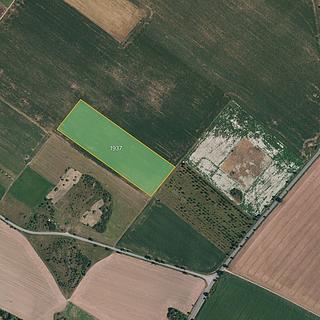 Prodej zemědělské půdy 12 769 m² Znojmo Popice