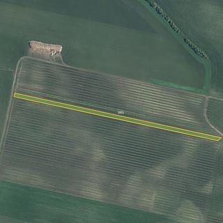 Prodej ostatních pozemků 5465 m&sup2; Terezín